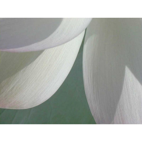 Lotus Detail I Gold Ornate Wood Framed Art Print with Double Matting by Christensen, Jim