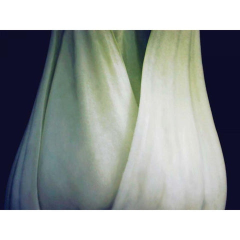 Bok Choy I White Modern Wood Framed Art Print by Christensen, Jim