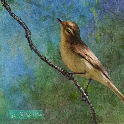 Viveo White Modern Wood Framed Art Print with Double Matting by Vest, Chris