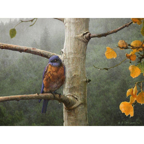 Bluebird Rain Gold Ornate Wood Framed Art Print with Double Matting by Vest, Chris