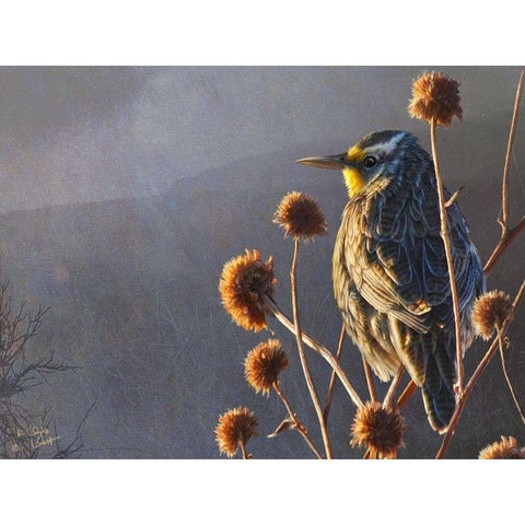 Meadowlark Gold Ornate Wood Framed Art Print with Double Matting by Vest, Chris