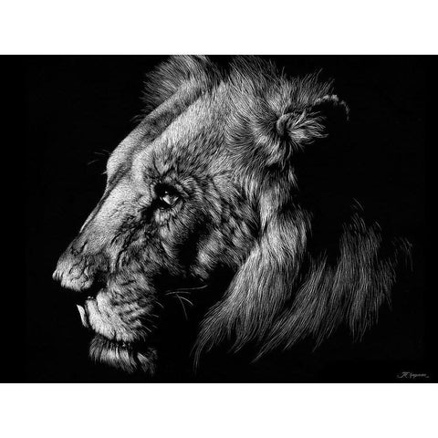 Wildlife Scratchboards I White Modern Wood Framed Art Print by Chapman, Julie T.