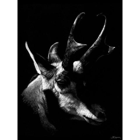 Wildlife Scratchboards II White Modern Wood Framed Art Print by Chapman, Julie T.