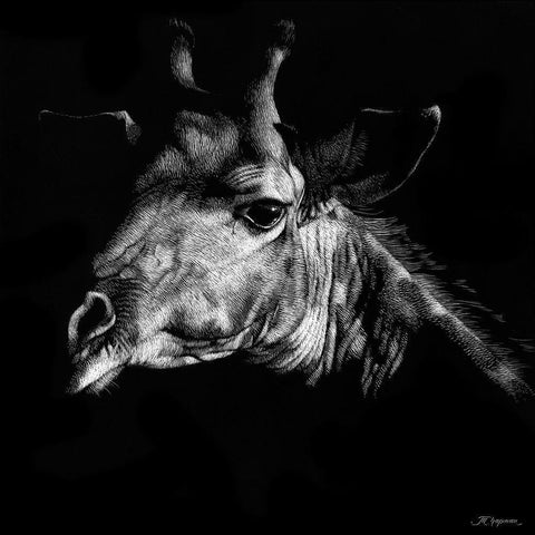 Wildlife Scratchboards VI Black Modern Wood Framed Art Print with Double Matting by Chapman, Julie T.