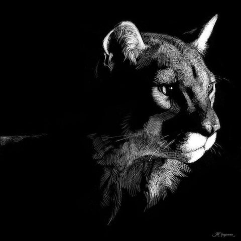 Wildlife Scratchboards VII Black Modern Wood Framed Art Print by Chapman, Julie T.