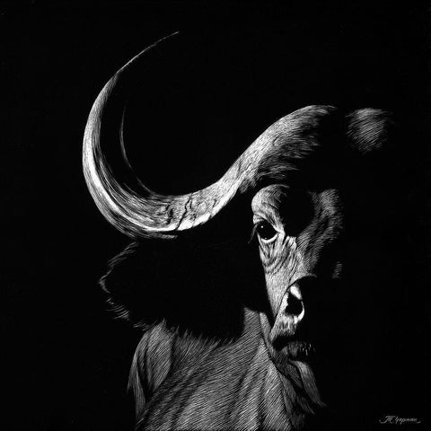 Wildlife Scratchboards VIII Black Modern Wood Framed Art Print by Chapman, Julie T.