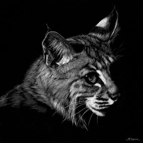 Wildlife Scratchboards IX Black Modern Wood Framed Art Print with Double Matting by Chapman, Julie T.