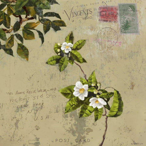 Postage III White Modern Wood Framed Art Print by Novak, Rick