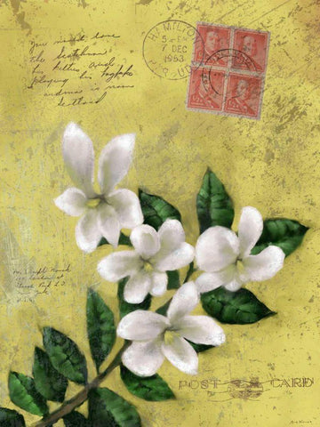 Postage VI Black Ornate Wood Framed Art Print with Double Matting by Novak, Rick