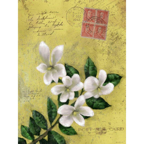 Postage VI Black Modern Wood Framed Art Print by Novak, Rick