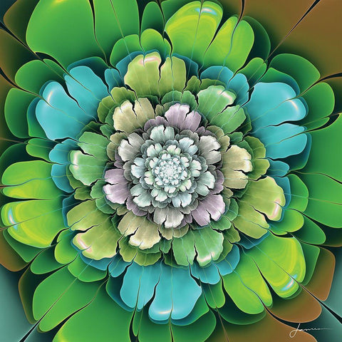 Fractal Blooms I Black Modern Wood Framed Art Print with Double Matting by Burghardt, James