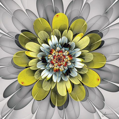 Fractal Blooms IV Black Ornate Wood Framed Art Print with Double Matting by Burghardt, James