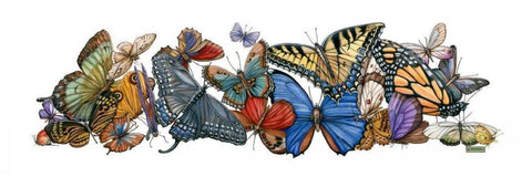 Wings of Splendor I White Modern Wood Framed Art Print with Double Matting by Russell, Wendy