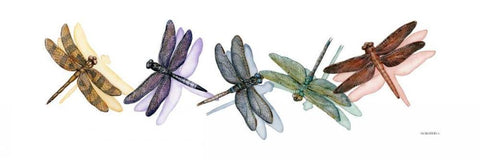 Wings of Splendor II Black Ornate Wood Framed Art Print with Double Matting by Russell, Wendy