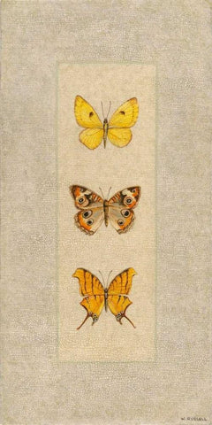 Butterfly Trio I White Modern Wood Framed Art Print with Double Matting by Russell, Wendy