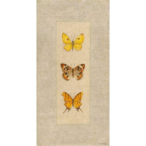 Butterfly Trio I Black Modern Wood Framed Art Print by Russell, Wendy