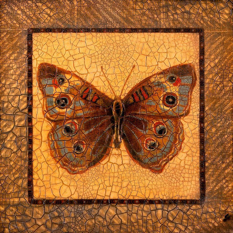 Crackled Butterfly - Buckeye White Modern Wood Framed Art Print with Double Matting by Russell, Wendy