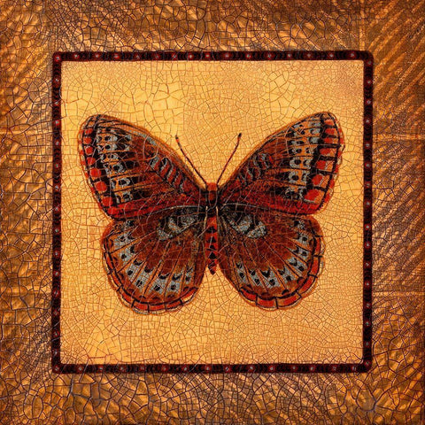 Crackled Butterfly - Fritillary Black Ornate Wood Framed Art Print with Double Matting by Russell, Wendy