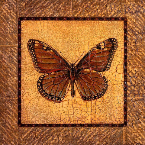 Crackled Butterfly - Monarch White Modern Wood Framed Art Print by Russell, Wendy