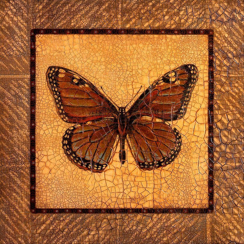 Crackled Butterfly - Monarch White Modern Wood Framed Art Print with Double Matting by Russell, Wendy
