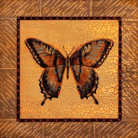 Crackled Butterfly - Swallowtail White Modern Wood Framed Art Print with Double Matting by Russell, Wendy