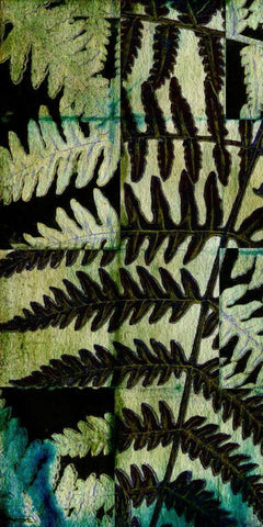 Midnight Ferns II White Modern Wood Framed Art Print with Double Matting by Vision Studio