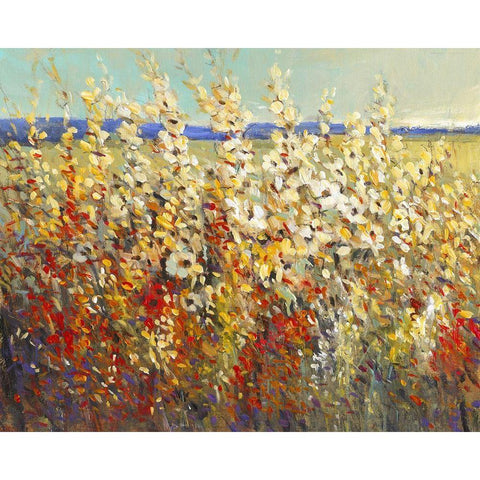 Field of Spring Flowers II Black Modern Wood Framed Art Print with Double Matting by OToole, Tim