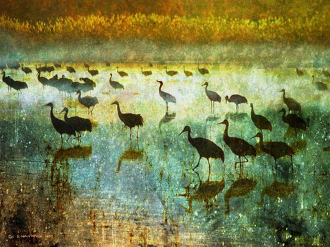 Cranes in Mist I Black Ornate Wood Framed Art Print with Double Matting by Vest, Chris