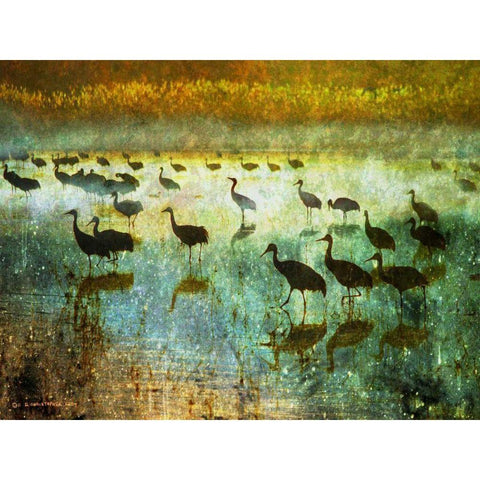 Cranes in Mist I Black Modern Wood Framed Art Print by Vest, Chris