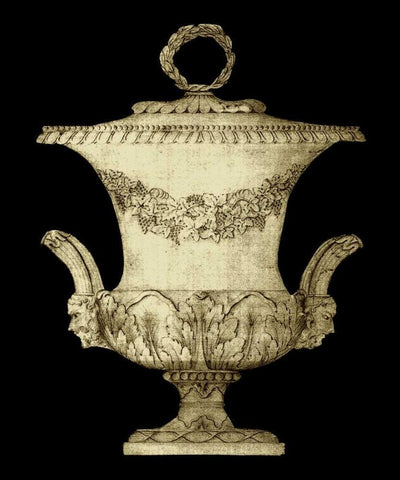 Garden Antiquities III White Modern Wood Framed Art Print with Double Matting by Vision Studio