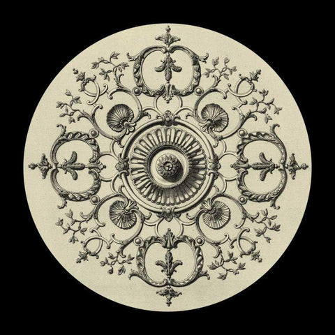 Black and Tan Medallion I Black Ornate Wood Framed Art Print with Double Matting by Vision Studio