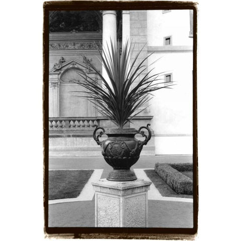 Royal Urn I Black Modern Wood Framed Art Print with Double Matting by DeNardo, Laura
