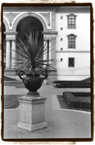 Royal Urn II White Modern Wood Framed Art Print with Double Matting by DeNardo, Laura