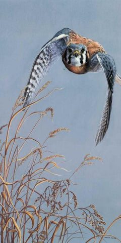 Prairie Lighting Black Ornate Wood Framed Art Print with Double Matting by Mock, Carolyn