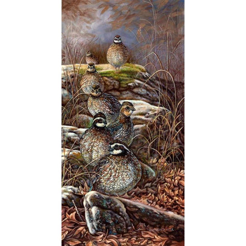 Quail Trail Gold Ornate Wood Framed Art Print with Double Matting by Mock, Carolyn