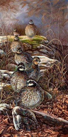 Quail Trail Black Ornate Wood Framed Art Print with Double Matting by Mock, Carolyn