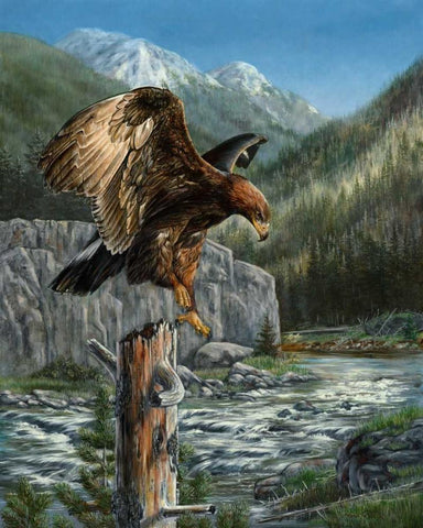 Golden Glory Black Ornate Wood Framed Art Print with Double Matting by Mock, Carolyn