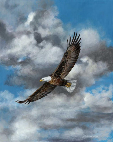 Soaring Black Ornate Wood Framed Art Print with Double Matting by Mock, Carolyn