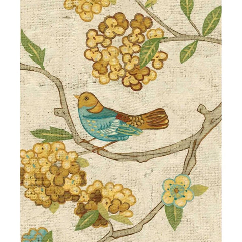 Antique Aviary II Black Modern Wood Framed Art Print by Zarris, Chariklia