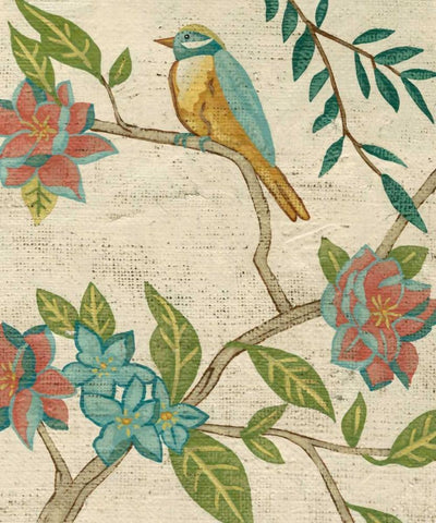 Antique Aviary IV White Modern Wood Framed Art Print with Double Matting by Zarris, Chariklia