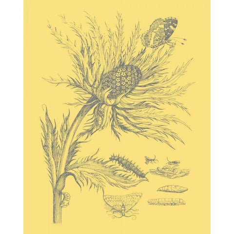 Natures Optimism I Black Modern Wood Framed Art Print with Double Matting by Vision Studio