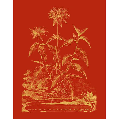 Paprika Bouquet II White Modern Wood Framed Art Print by Vision Studio