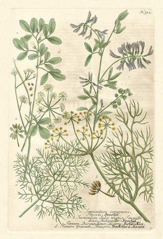 Weinmanns Garden IV Black Ornate Wood Framed Art Print with Double Matting by Weinmann, Johann