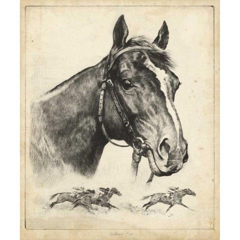 Gallant Fox Black Modern Wood Framed Art Print with Double Matting by Palenske, R.H.