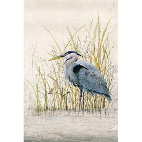 Heron Sanctuary II Black Modern Wood Framed Art Print with Double Matting by OToole, Tim