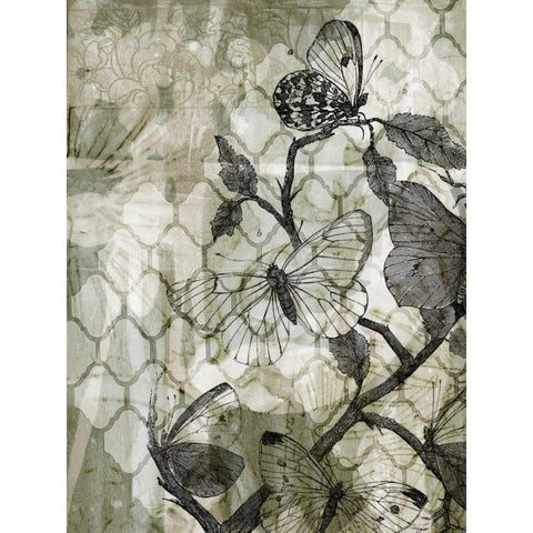 Arabesque Butterflies II Black Modern Wood Framed Art Print with Double Matting by Goldberger, Jennifer