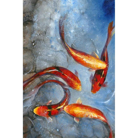 Graceful Koi I Black Modern Wood Framed Art Print with Double Matting by OToole, Tim