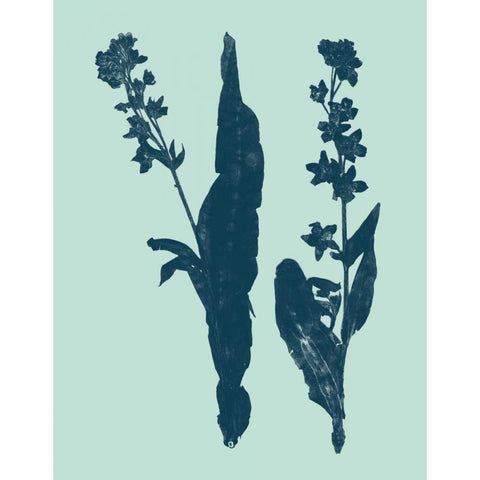 Indigo and Mint Botanical Study VIII White Modern Wood Framed Art Print by Vision Studio
