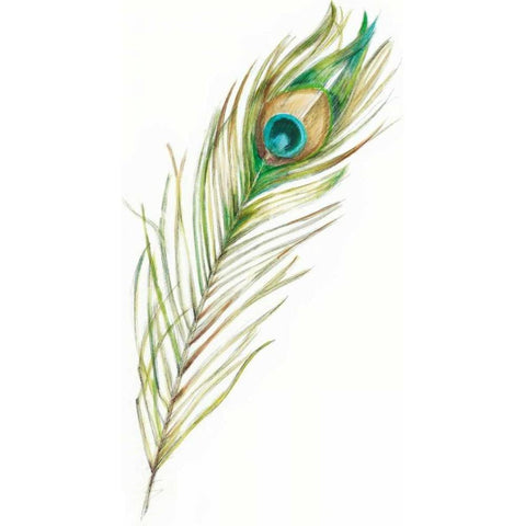 Watercolor Peacock Feather II Black Modern Wood Framed Art Print by Harper, Ethan
