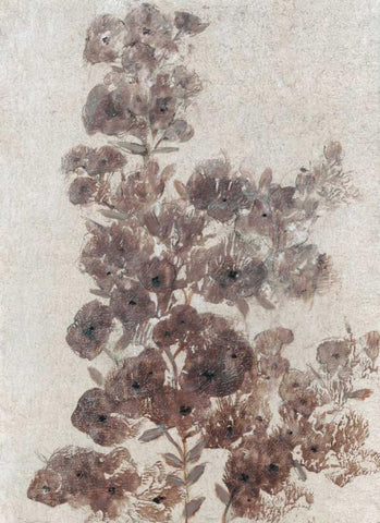 Sepia Flower Study II White Modern Wood Framed Art Print with Double Matting by OToole, Tim